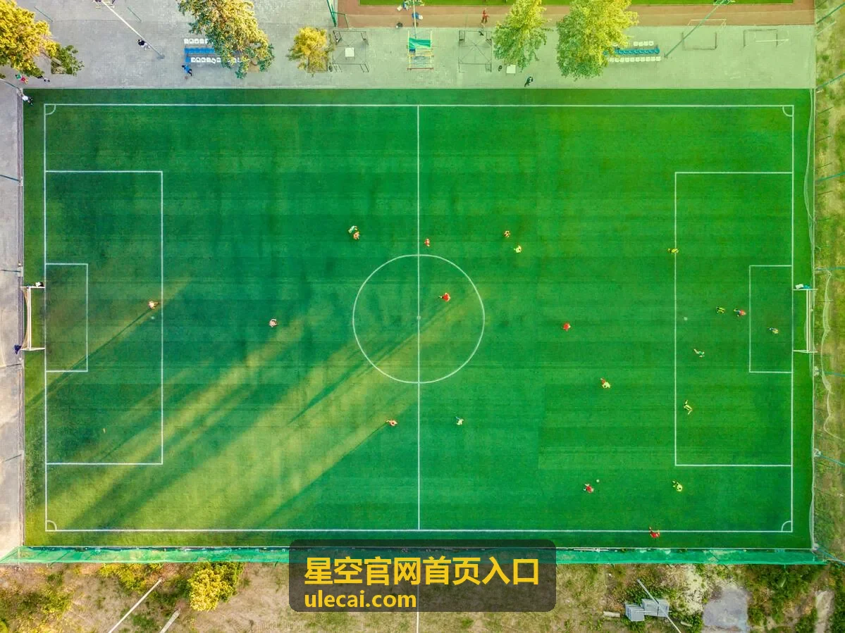 星空官网首页入口分类条目展示图