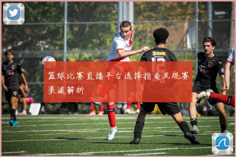 篮球比赛直播平台选择指南及观赛渠道解析