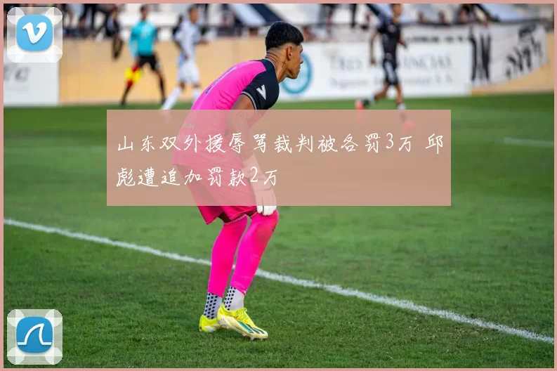山东双外援辱骂裁判被各罚3万 邱彪遭追加罚款2万