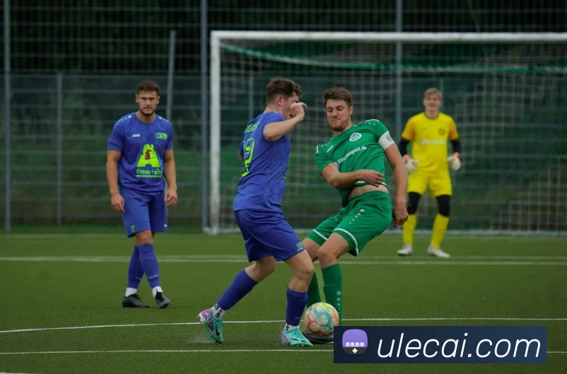 九游j9官方主页品牌故事