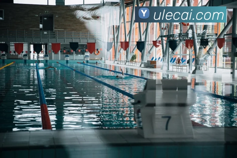 多媒体互动体验